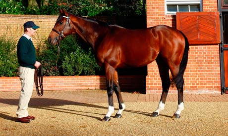 Frankel