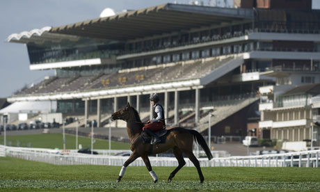 Hurricane Fly at Cheltenham