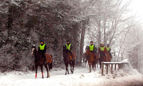 Racehorses in the snow