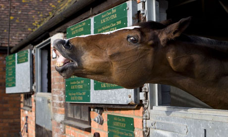Kauto Star