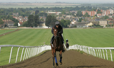 Warren Hill