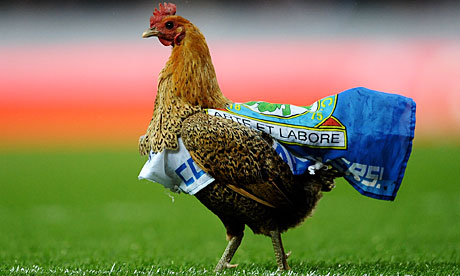 blackburn chicken