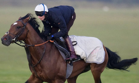 Frankel2