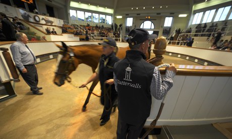 Yearling horse is sold at Tattersalls