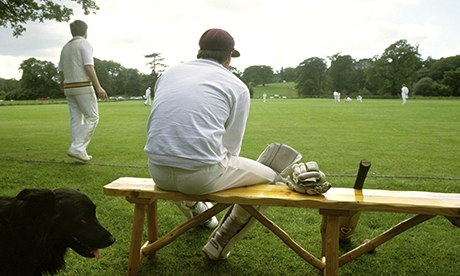Generic cricket shot