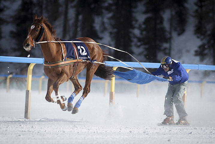 White Turf Racing: White Turf Racing