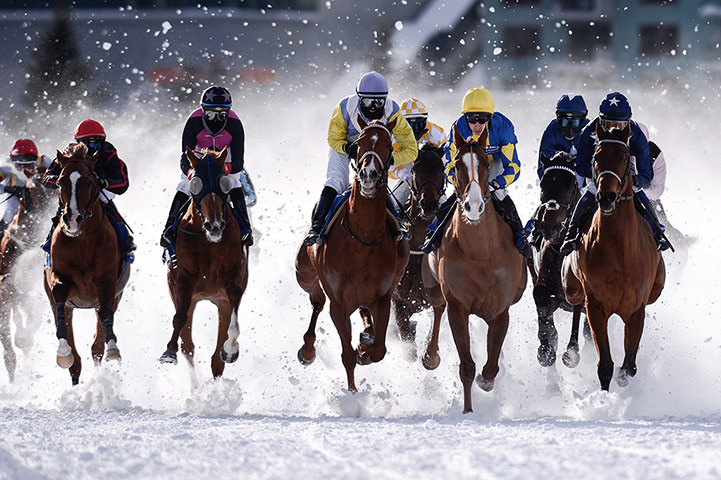 White Turf Racing: White Turf Racing