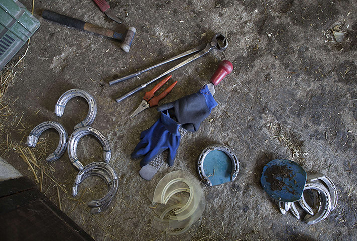 White Turf Racing: White Turf Racing