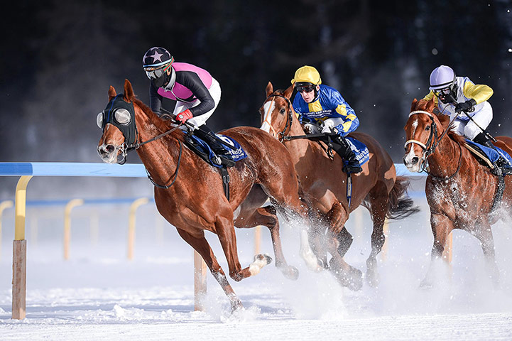 White Turf Racing: White Turf Racing
