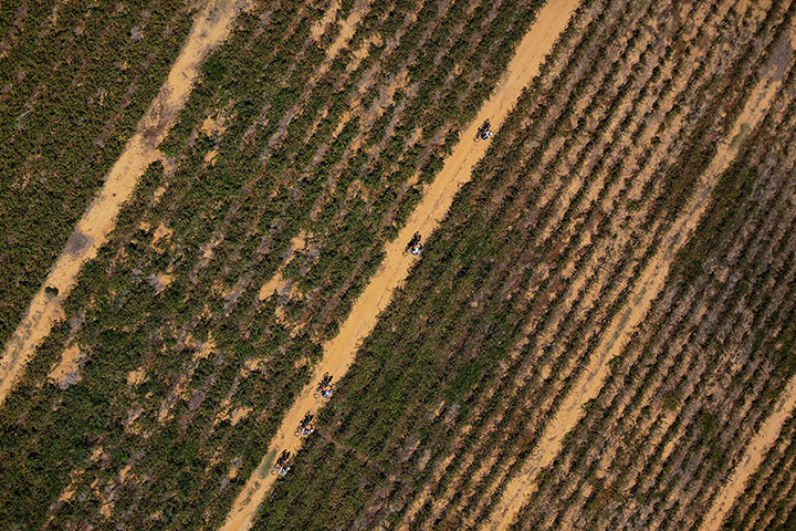 Cape Epic: Cape Epic – In Pictures