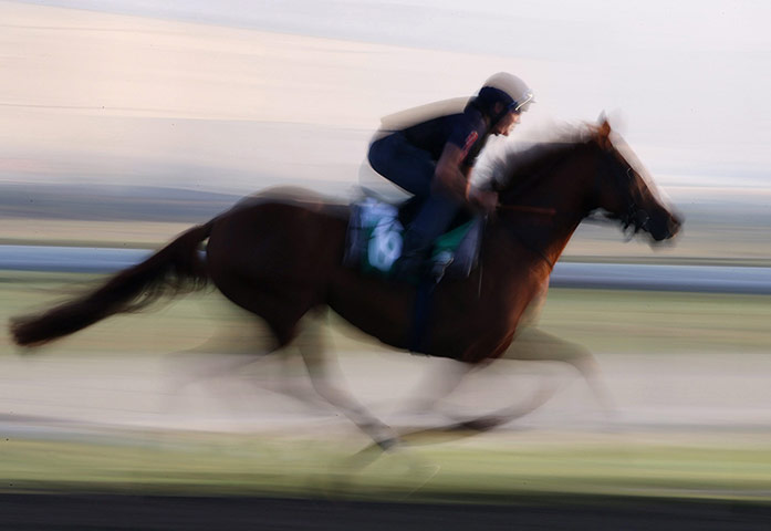 Best of the Week: Week in pictures 29/03/13