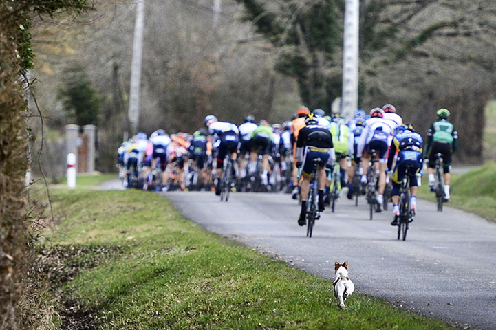 Best of the week: Best of the week 08/03/13