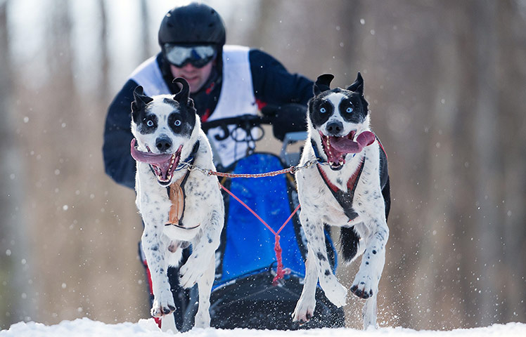 Best of the week: Best of the week 08/03/13