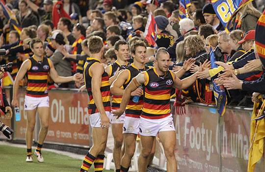 AFL NORTH MELBOURNE ADELAIDE