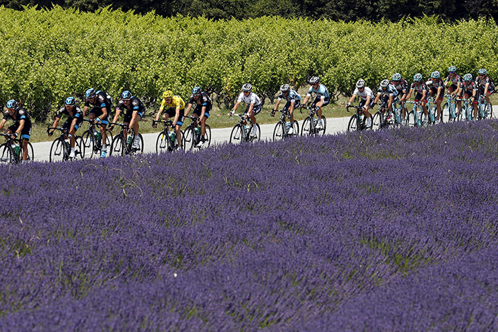 Ashes Day 5 Gallery: Tour De France Stage 15