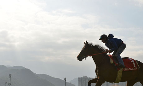 Cirrus Des Aigles is expected to take advantage of the heavy rain expected at Ascot on Saturday