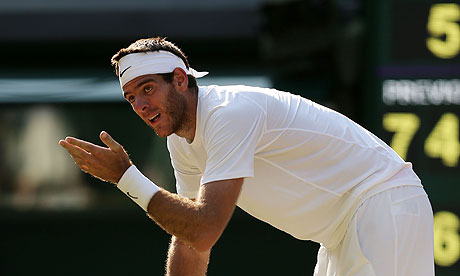 Juan Martín del PotroWimbledon 2013: Day Eleven