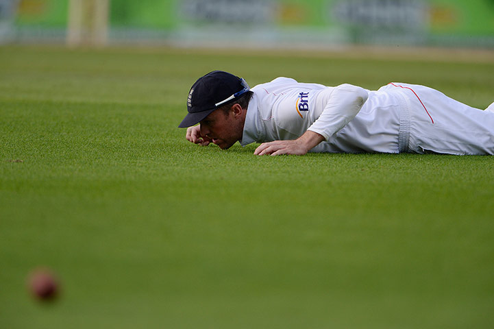 cricket - ashes: cricket - ashes