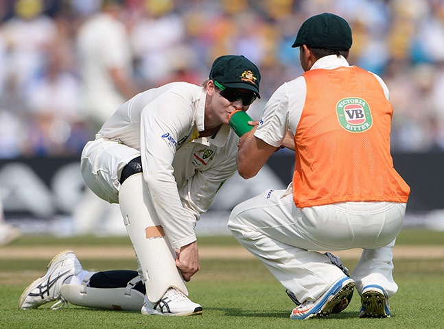 cricket - ashes: cricket - ashes