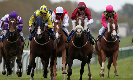 Horse Racing - Spring Raceday - Ayr Racecourse