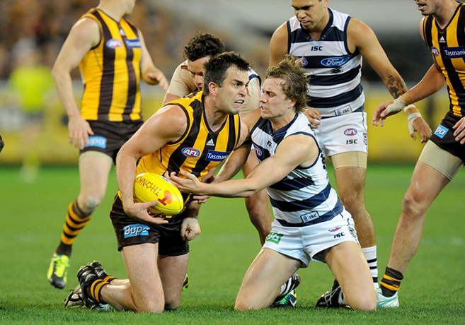 AFL grand final: AFL grand final: Brian Lake