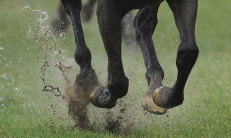 Horse running through water
