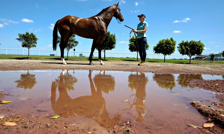Hampton Court at Flemington