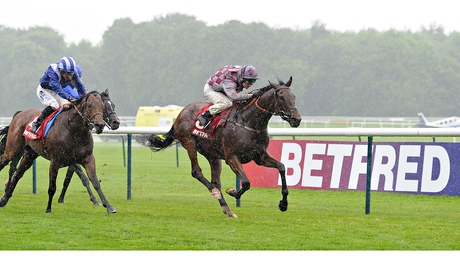 Chatez wins at Haydock