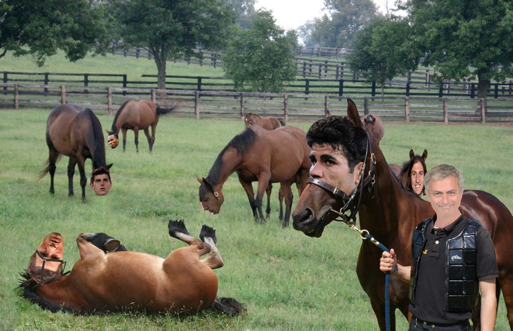 Premier League gallery: Premier League gallery