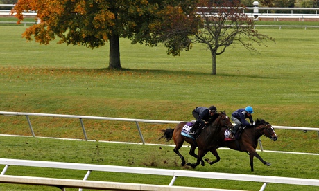 Horse Racing 2015: Breeders Cup Preparations OCT 25
