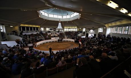 Tattersalls Auction in Newmarket