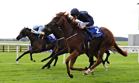 Coolmore wins in Ireland