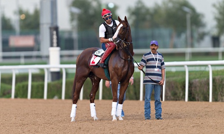 California Chrome at Meydan