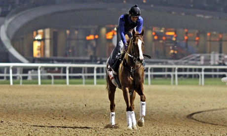 California Chrome