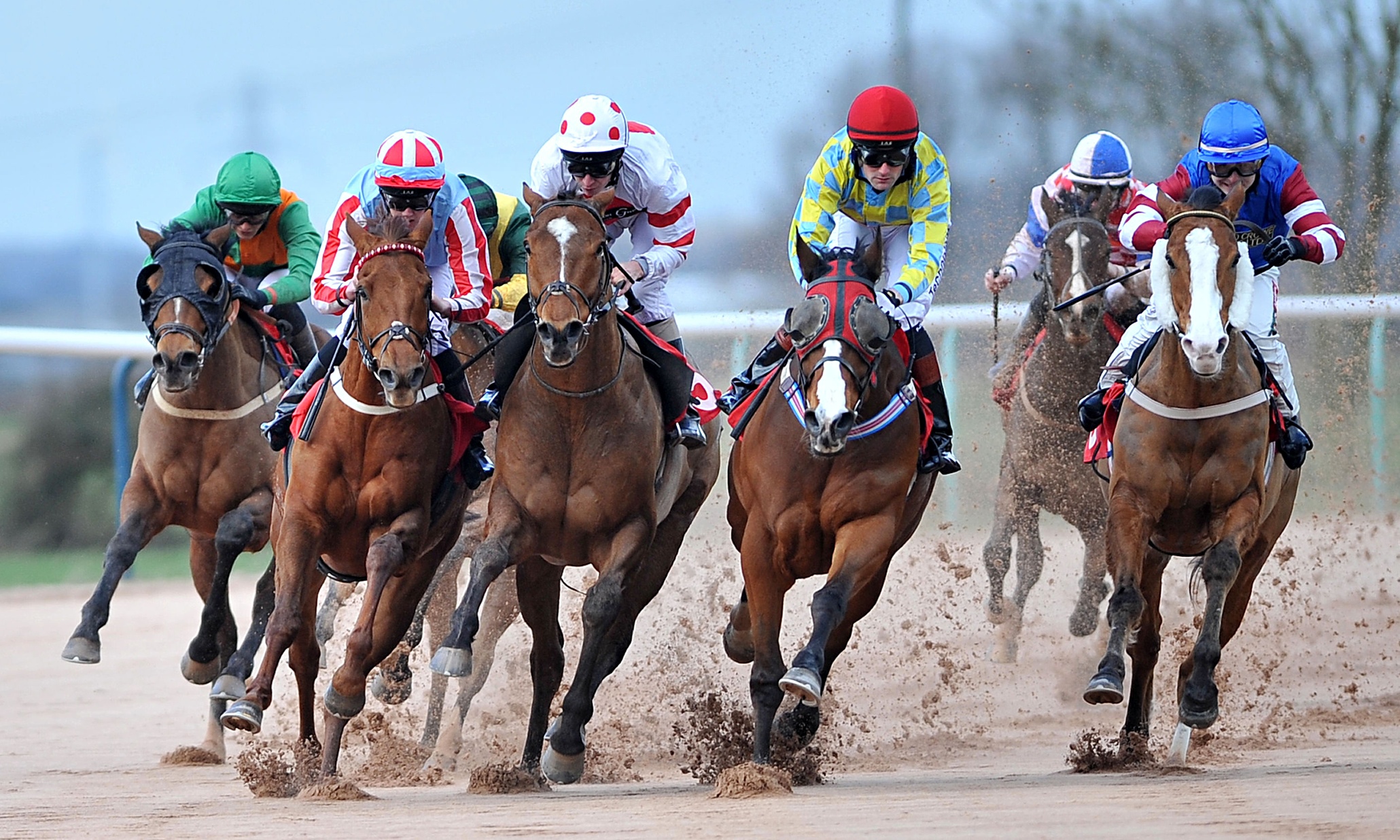 Horse racing tips: Tuesday 14 April  Sport  The Guardian