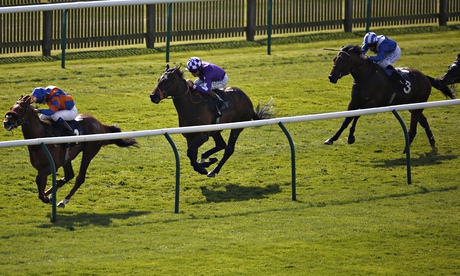 Newmarket Races Home Of The Brave