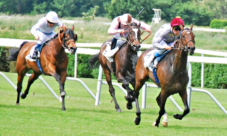 Treve Prix Corrida