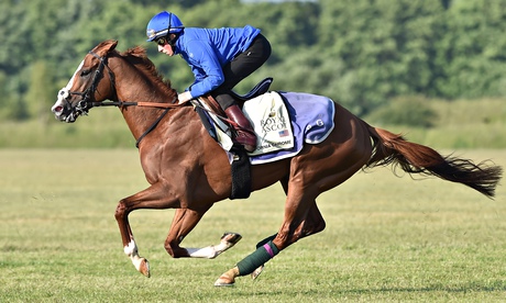 Horse Racing from Newmarket, California Chrome