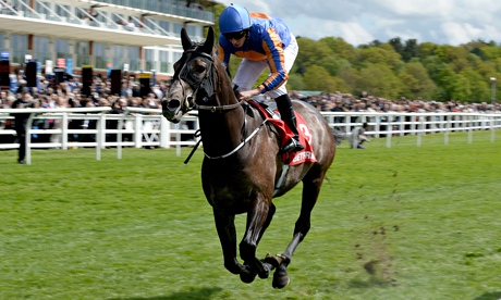 Horse Racing - Lingfield Park Racecourse