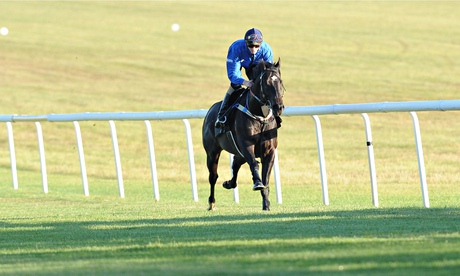 Horse Racing - Brazen beau