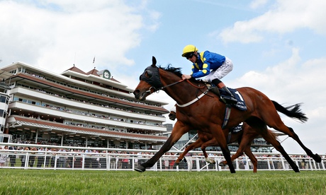 Horse Racing - Newbury 