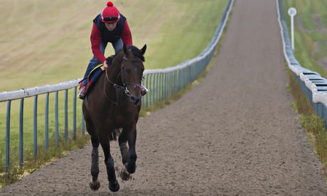 Tom Dascombe with racehorse Brown Panther