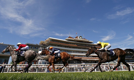 Horse Racing - Newbury