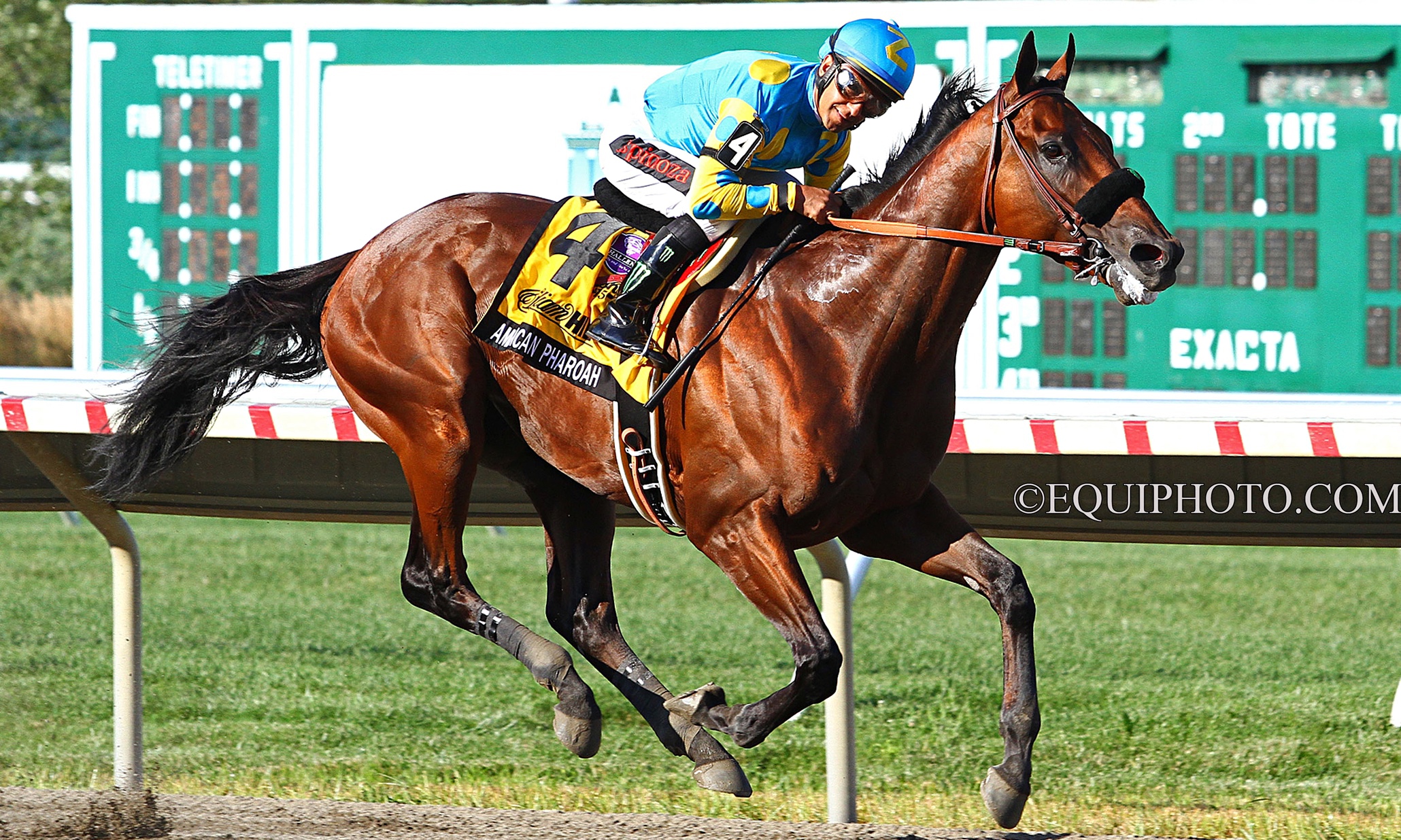 AmericanPharoah009.jpg