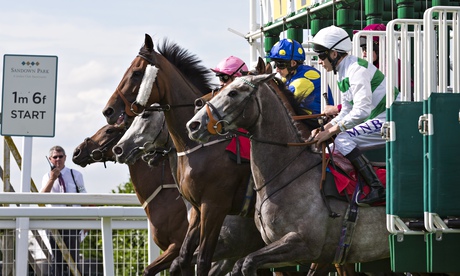 Horse Racing - Sandown Park