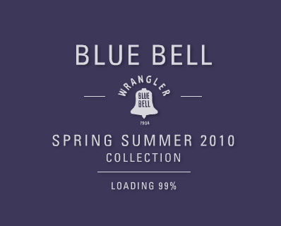 Flash loading on a site