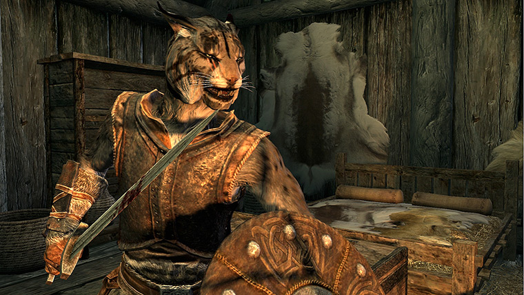 Games Xmas gift guide: Elder Scrolls V: Skyrim