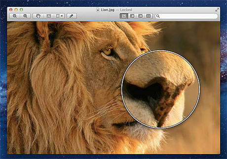 Mac OS X Lion