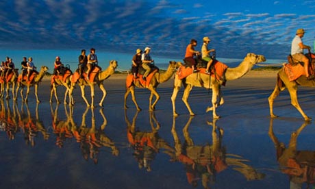 Broome Camel