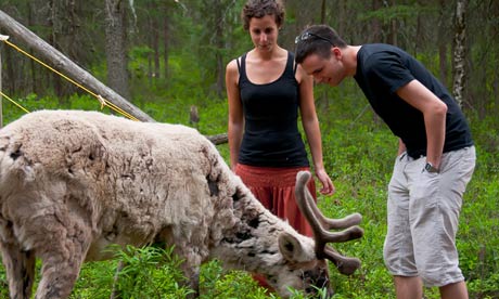 Caribou Drink Quebec